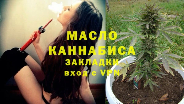 шишки Заволжье