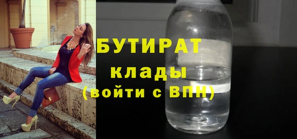 шишки Заволжье