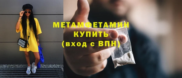 шишки Заволжье
