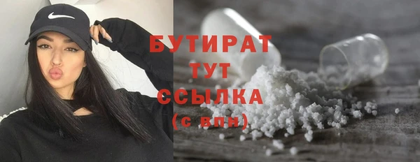 шишки Заволжье