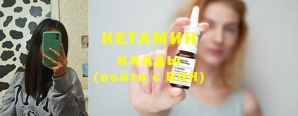 шишки Заволжье