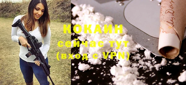 шишки Заволжье