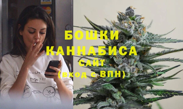 соль ск Заводоуковск