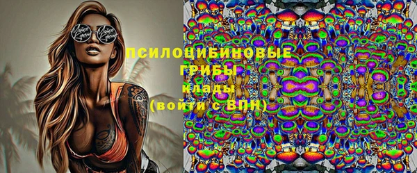 СК Заволжск