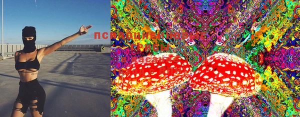 шишки Заволжье