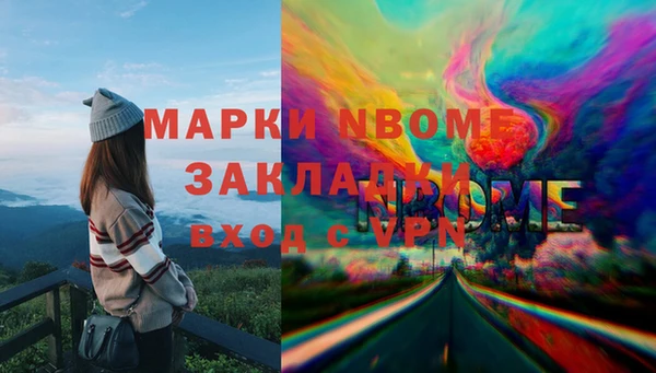 шишки Заволжье
