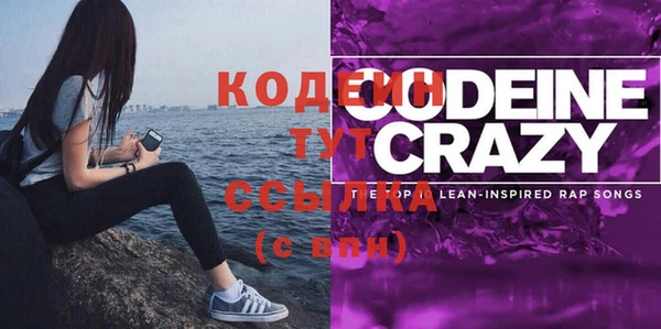 шишки Заволжье
