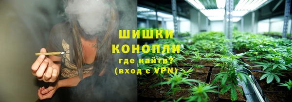 соль ск Заводоуковск
