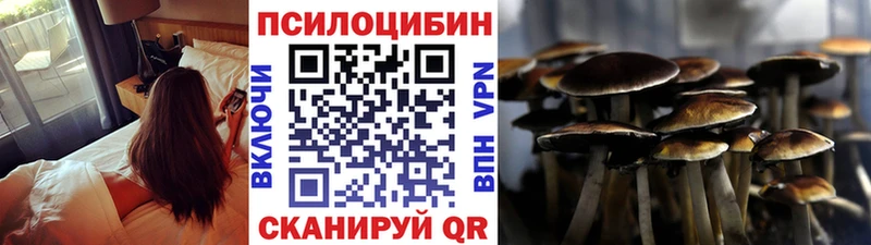 Псилоцибиновые грибы Psilocybine cubensis  Купить  Богородск 